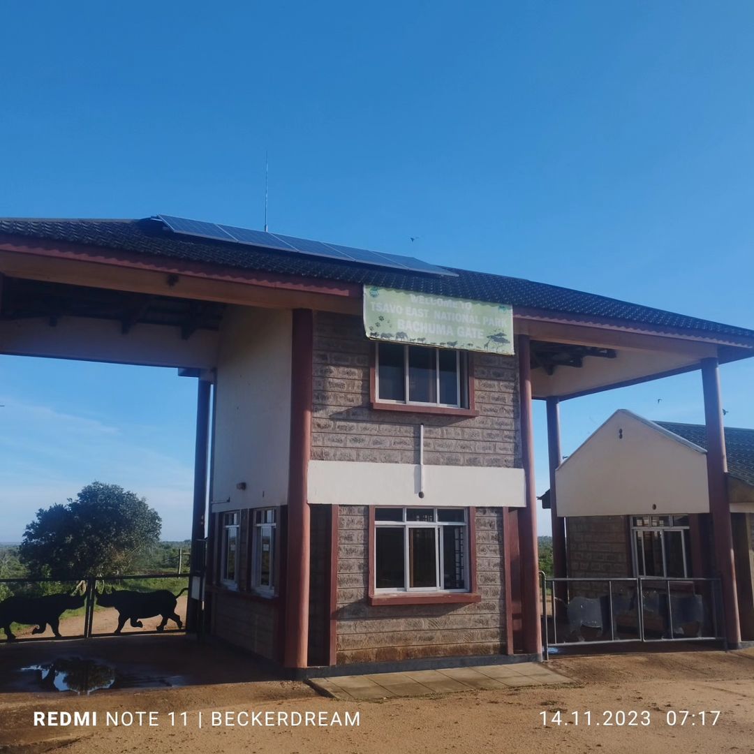 3 GG Tsavo Est e Amboseli